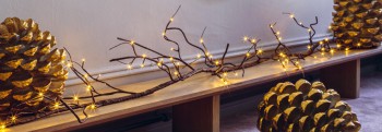Branches