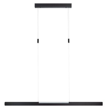 LED Pendelleuchte SCAFA, schwarz