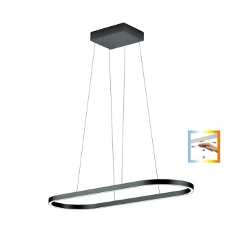 LED-Pendelleuchte ELIN, schwarz