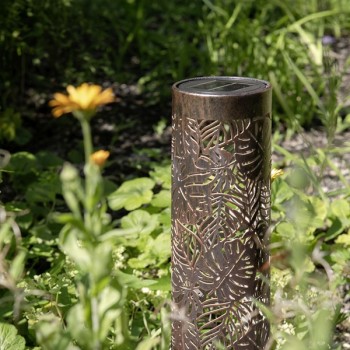 Solar Antic Pillar Jungle