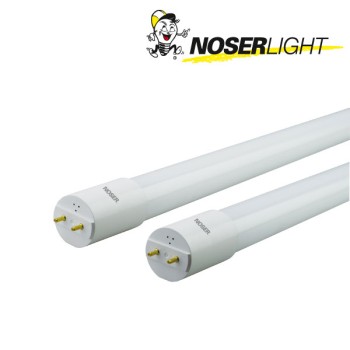 NOSER T8 LED Tube, dépoli, G13, 120cm, 6500K