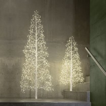Flower Tree 120, white
