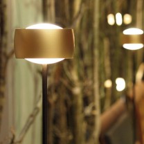 OLIGO LED Stehleuchte GRACE, Schirm und Fussplatte gold matt, Stang schwarz matt OLIGO LED Stehleuchte GRACE, Schirm und Fussplatte gold matt, Stang schwarz matt