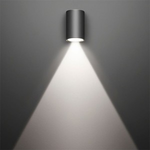 Structure IP55 COSMOS WALL FIXTURE D:106 ONE EMISSION ALUMINIUM anthracite IK06