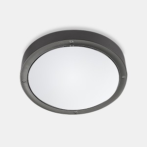 Plafonnier IP66 BASIC ALUMINIUM D:260mm LED 14.5W 3000K anthracite 1182Lm