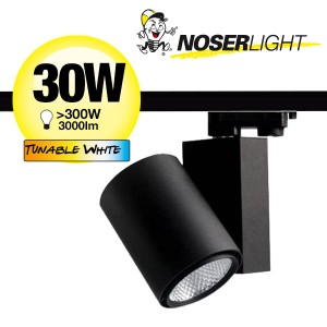 NOSER LED Spot argent? 30W, 3000lm, 38?, CCT + DIM