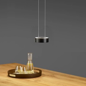 LED-Pendelleuchte ZERA-1, Prismenabdeckung, schwarz