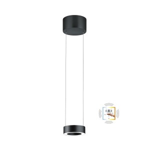 LED-Pendelleuchte ZERA-1, Acrylabdeckung, schwarz