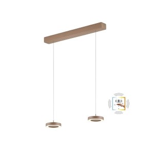 LED-Pendelleuchte DAJA-2, sand metallic