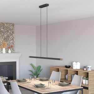 LED Pendant Light LISCIANA, 1-flame, grey