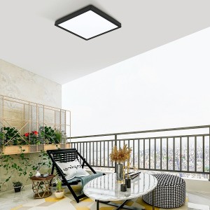 LED Luminaire en saillie ARGOLIS 2, noir / blanc