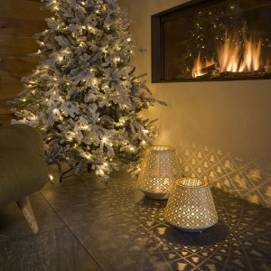 Nova Tree 29