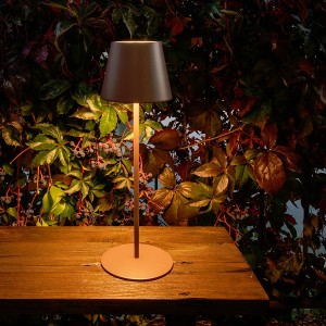 Motion Lamp USB Luna Brown