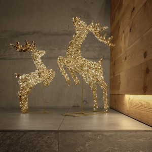Glamour Reindeer 70