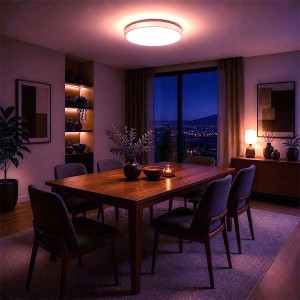 NOSER LED Plafonnier/Applique, rond, 30W, 2200lm, blanc, 3000?K, art. no. DLBAB30W-WW