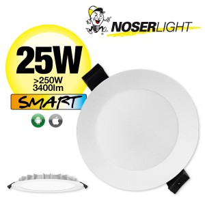 NOSER LED Downlight CCT, 25W, Tuya Smart, white, 2500lm