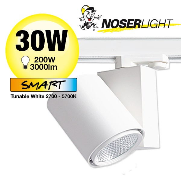 NOSER LED Spot blanc 30W, 3000lm, 60?, CCT + DIM