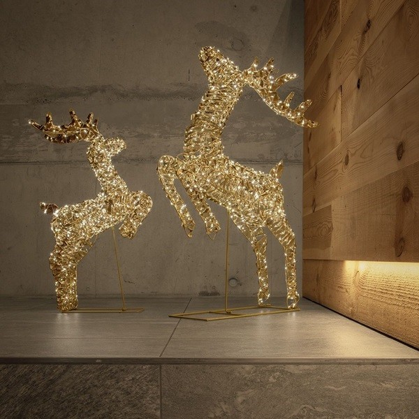 Glamour Reindeer 70