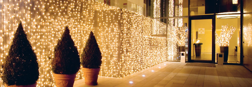 fairy lights 